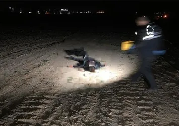 Kadının yardım çığlıklarına koştular ama...