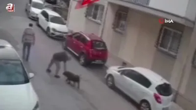 İzmir’de köpeğe kemerli şiddet kamerada