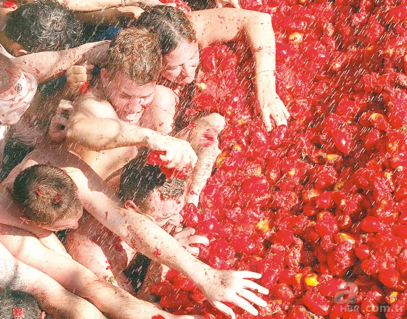 20 bin kişi 130 ton domates: La Tomatina! "Sanki yeniden doğuyoruz" 15