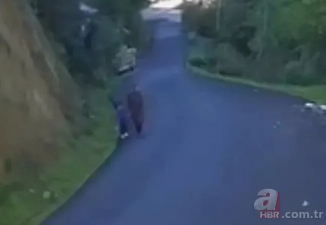 Kastamonu’da anne ve oğul sırra kadem bastı! Görgü tanıkları konuştu: Köyden bir araç aldı 8