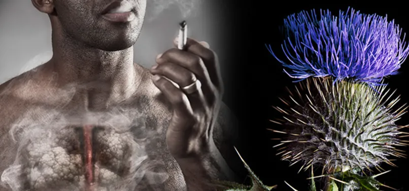 Haftada 3 gün tüketince mucize değişimi hissedeceksiniz...