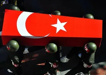 Van, Hakkari ve Şanlıurfa'dan acı haber: 5 şehit