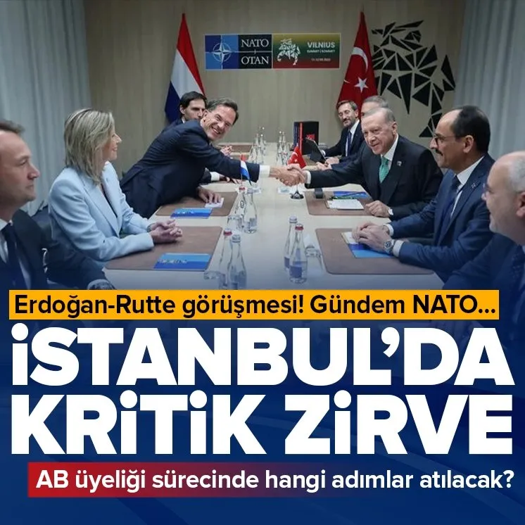 Başkan Erdoğan Rutte ile görüşecek