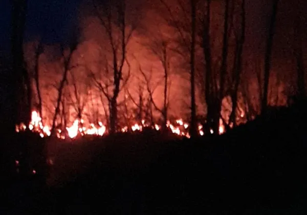 Son dakika: Rize'de 2 ayrı bölgede orman yangını - 3
