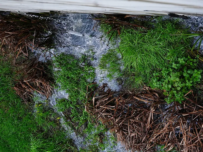 1737084742062.jpeg İstanbulluların içtiği suya lağım suları karışıyor (AA)