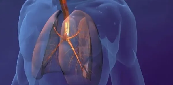 Son dakika: Kovid-19’un ortaya çıkması ile ilgili flaş iddia