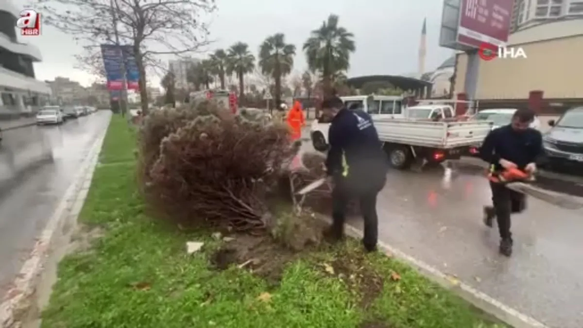 İzmir'de fırtına ağaçları devirdi: 5 araç hasar gördü