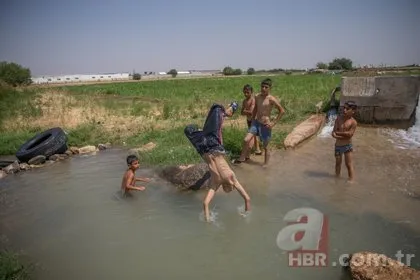 Şanlıurfa Siverek’te termometreler 58 dereceyi gördü!