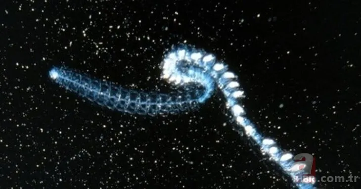 Bilim dünyasını şaşkına çeviren olay! Asırlara meydan okumuş! Tam 5 bin yıllık 15