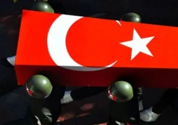 Ağrı'da çatışma: 1 şehit