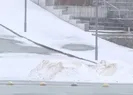 Özgürlüğü barikatlar sardı