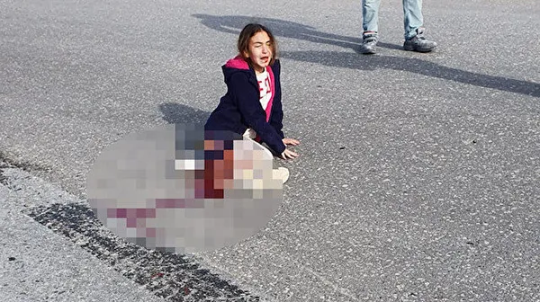 Köpek kovalamacında feci şekilde can veren küçük Mahra'nın davasında karar: 3.9 milyonluk tazminat ödenecek - 4