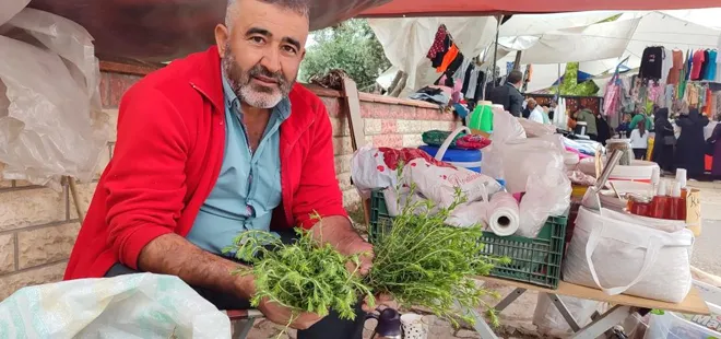 her-derde-deva-antibiyotik-gorevi-goruyor-toplayana-ek-gelir-kaynagi-oluyor-cayi-bile-var-1715679768425.jpg Her derde deva antibiyotik görevi görüyor! Toplayana ek gelir kaynağı oluyor çayı bile var - 2