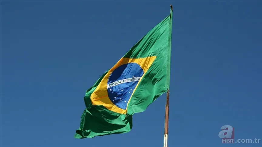 Kedi nüfusu en yüksek ülke açıklandı: ABD ilk sırada Türkiye ise… 7