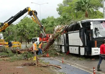 Servis otobüsü üzerine ağaç devrildi: 7 yaralı