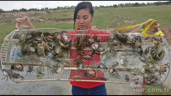 Erzincan'da eksi 20 derecede buzun altında balık avı! Onlarca balığı elleriyle böyle yakaladı: Güzel bir balık tutma tekniği 18