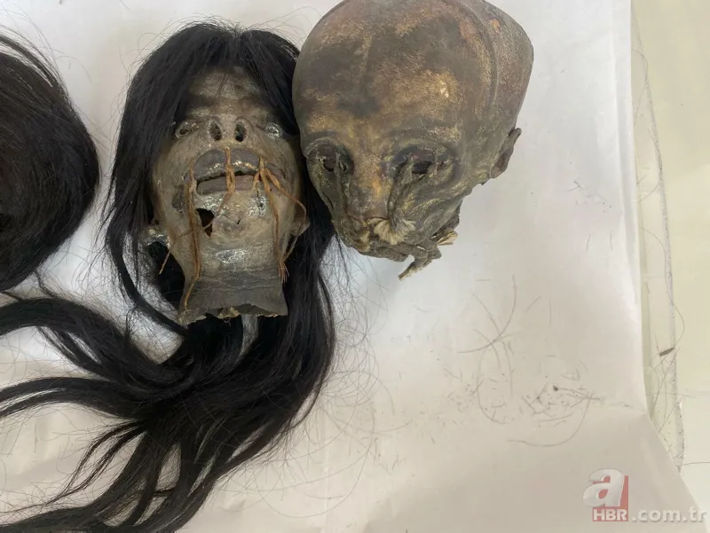 İzmir’de ele geçirilen 'Tsantsa'lar ile ilgili karar verildi! İade edilecekler 1