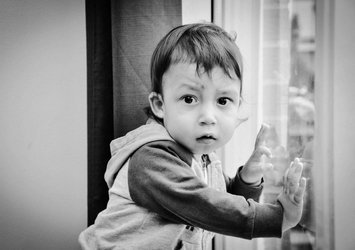 Şeftali hariç her besin komaya sokuyor