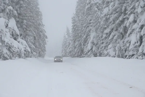 1644048087629.jpg Şiddetli kar geri geliyor! Meteoroloji tarih vererek o illeri uyardı | İşte yeni hava durumu raporu - 10