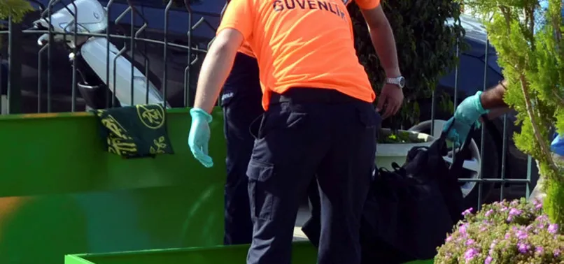 Bodrum'da domuz leşi, ceset paniğine neden oldu
