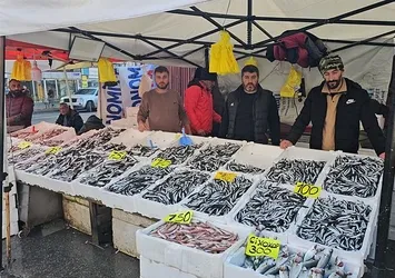 Tezgahlarda hamsi bolluğu! Kilosu 75 TL