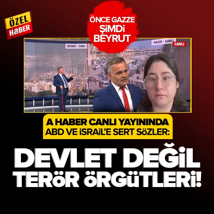 Devlet değil terör örgütleri