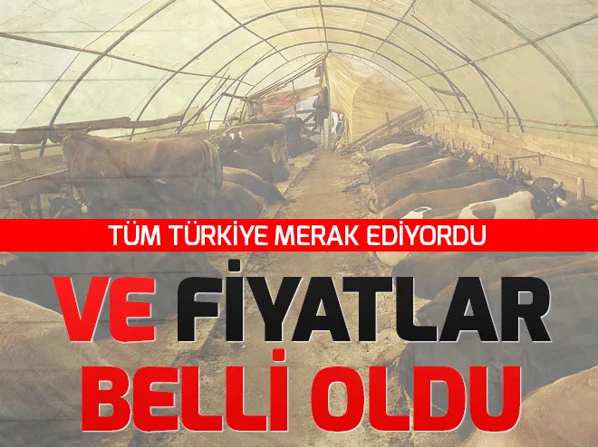 2018 kurbanlık fiyatları belli oldu! İÅte küçük baÅ kurban ve büyük baÅ kurbanlık fiyatları