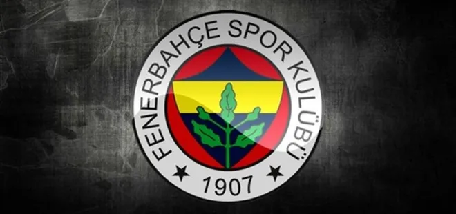 Gregory van der Wiel özür diledi