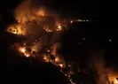 Adıyamanda orman yangını kontrol altında