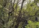 Mağarada define faciası!