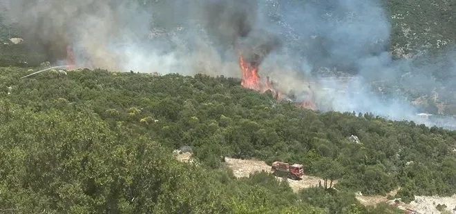 Antalya Kaş’taki orman yangını söndürüldü