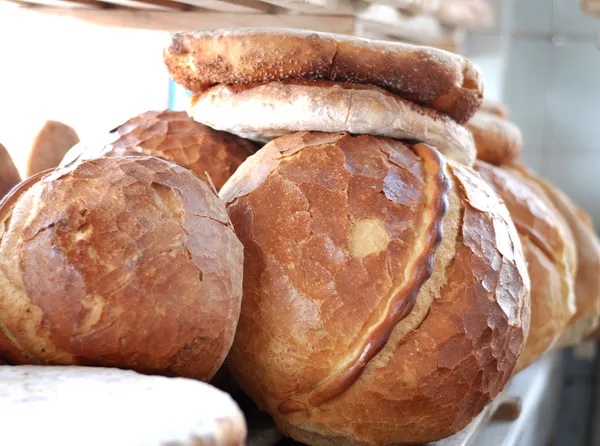 Son dakika | Ekmeğe zam gelecek mi? Bakan Kirişci açıkladı