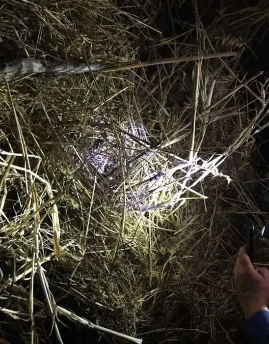 Genç kadın yarı çıplak ve paramparça halde bulunmuştu! Turizm cennetinde vahşette yeni detaylar: Ölüm evi görüntülendi