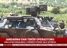 Jandarmadan terör operasyonu
