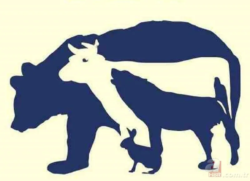 Zeka testi: Resimdeki 10 hayvan nerede? 832 kişiden sadece 9'u bulabildi 1