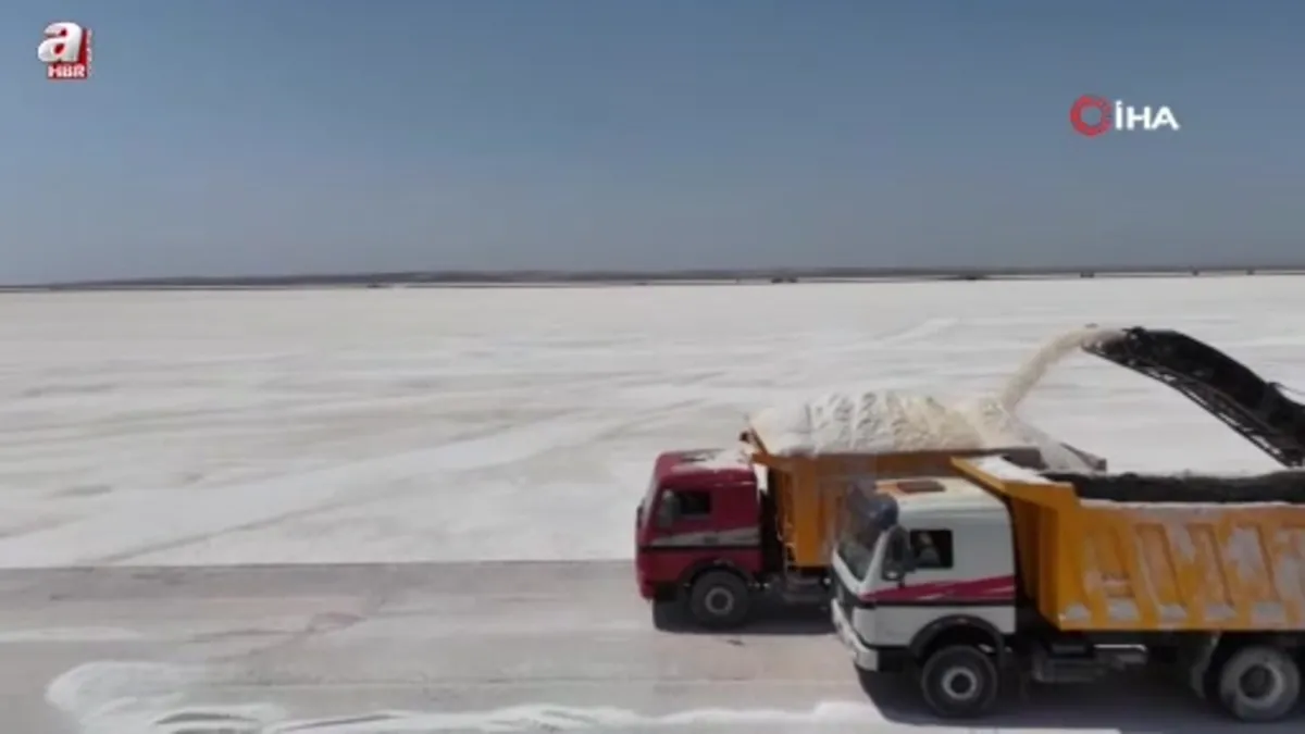 Anadolu’nun beyaz hazinesi