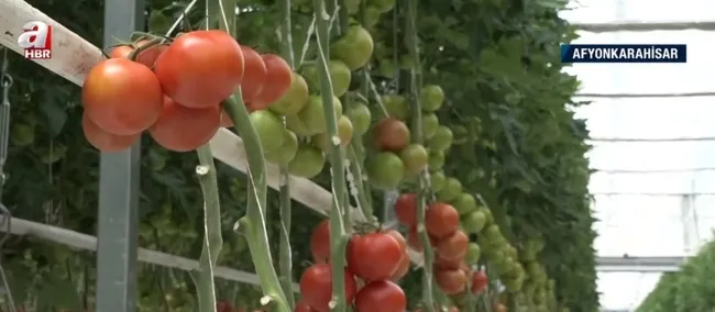 İş garantili burslu okul! Hem teorik hem de uygulamalı eğitim alıyorlar