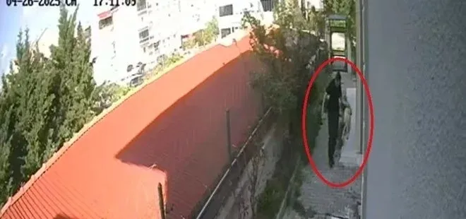 Sahiplendiği köpekleri parçalayıp öldürmüştü! Telefonundan 43 bin müstehcen görüntü çıktı