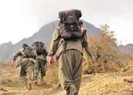PKK tutuştu! Çözülmeyi engellemek için...