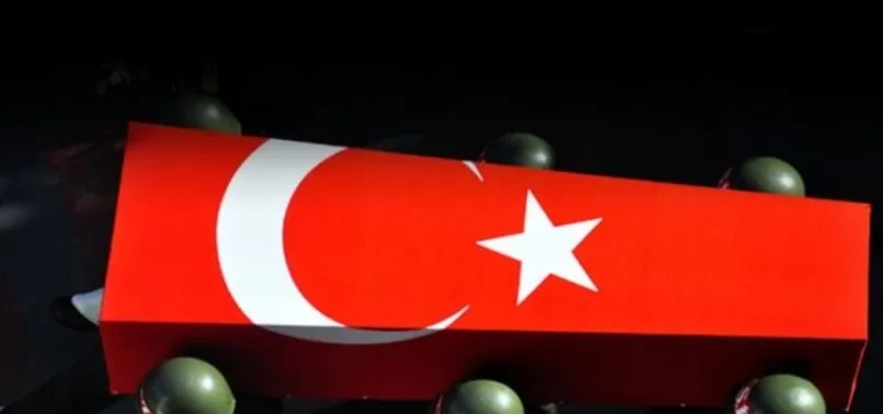 Son dakika: MSB acı haberi duyurdu: Pençe-Yıldırım Harekatı bölgesinde 1 asker şehit oldu, 2 asker yaralandı