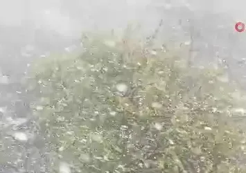 Mardin’de mevsimin ilk karı kamerada