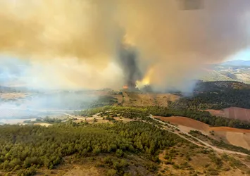 Son dakika: Manisa'da orman yangını
