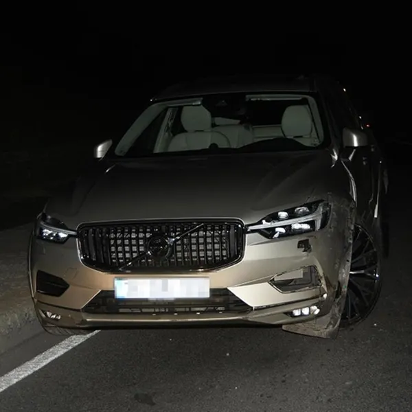 Serenay Sarıkaya’nın şoförü kaza yaptı