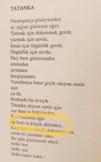 Muharrem İnce erotik şiir kitabı için bakın ne dedi! - 1
