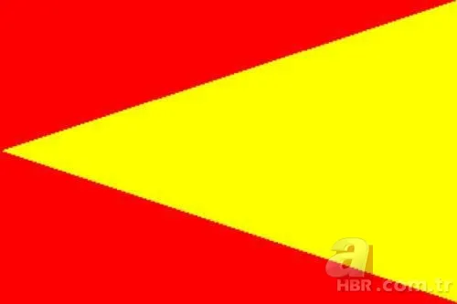 İşte Türklerin soyağacı! Hangi il hangi boydan geliyor? 15