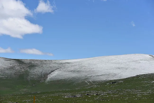 karsta-mayista-etkili-olan-kar-ve-soguk-hava-kisi-aratmadi-1620650985426.jpg Kars'ta mayısta etkili olan kar ve soğuk hava kışı aratmadı - 2