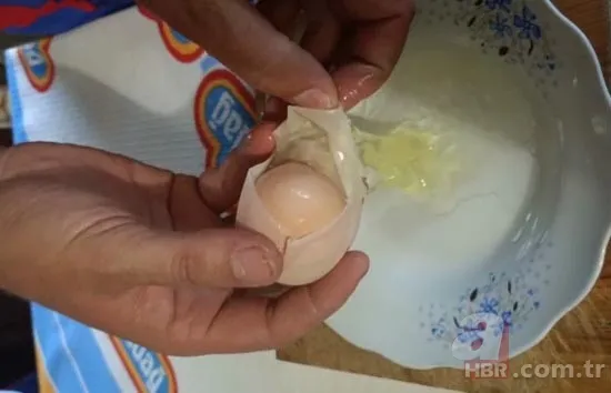Kümese girdi başına talih kuşu kondu! Tavuğu servet yumurtladı 11