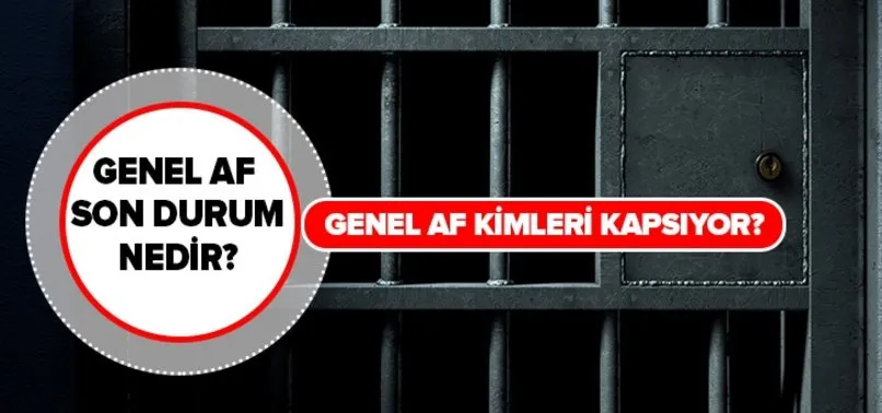 Genel Af Ne Zaman Cikacak Af Yasasi Kismi Af Ceza Indirimi Son Durum Kimleri Kapsiyor