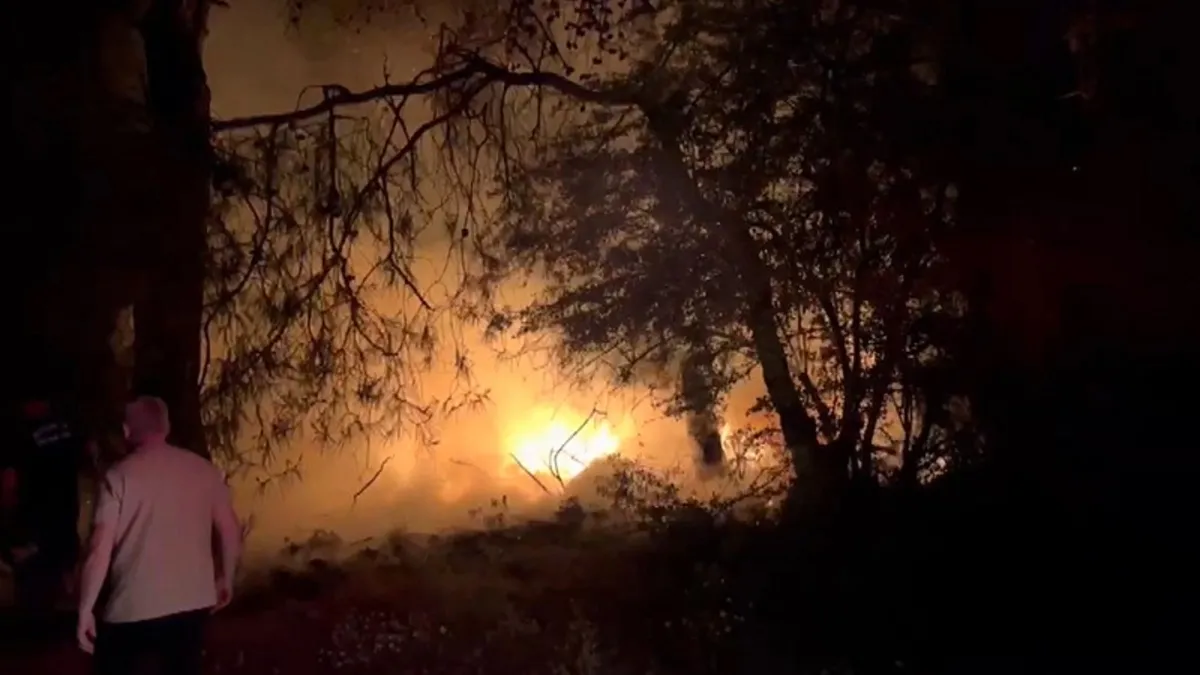 Manavgat'ta çıkan orman yangını söndürüldü! 1 kişi gözaltına alındı