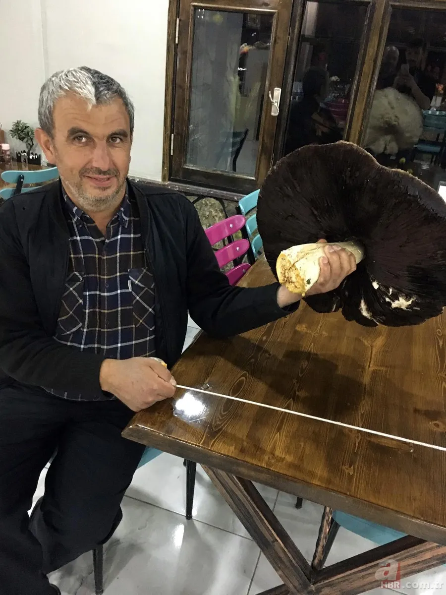 Yetiştirmek için serasına kamera koydu! Fiyatı el yakıyor: Gözümüz gibi bakıyoruz 11